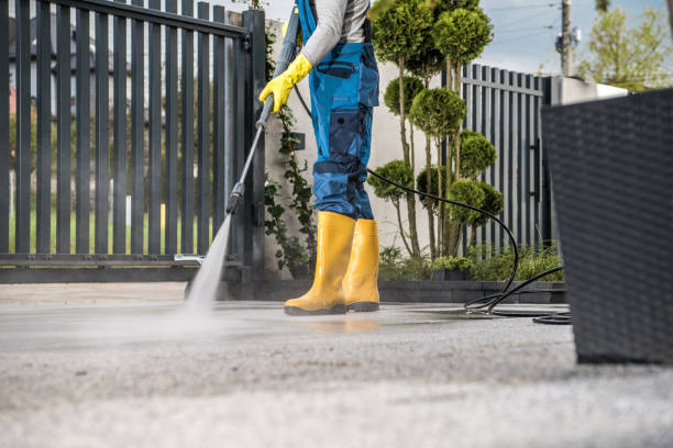 Animal Enclosure Cleaning in Emigration Canyon, UT